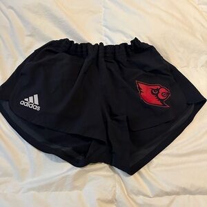 Louisville cardinals adidas shorts